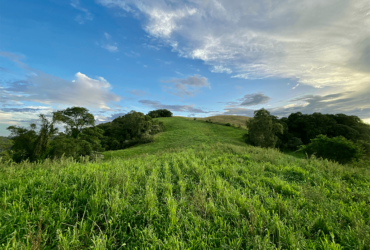 99 – Área de Terra na Capela São Braz – Nova Alvorada