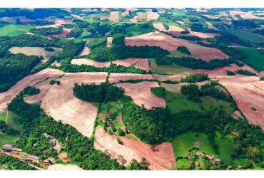 91 – Área de terras rurais na Linha Marechal Deodoro